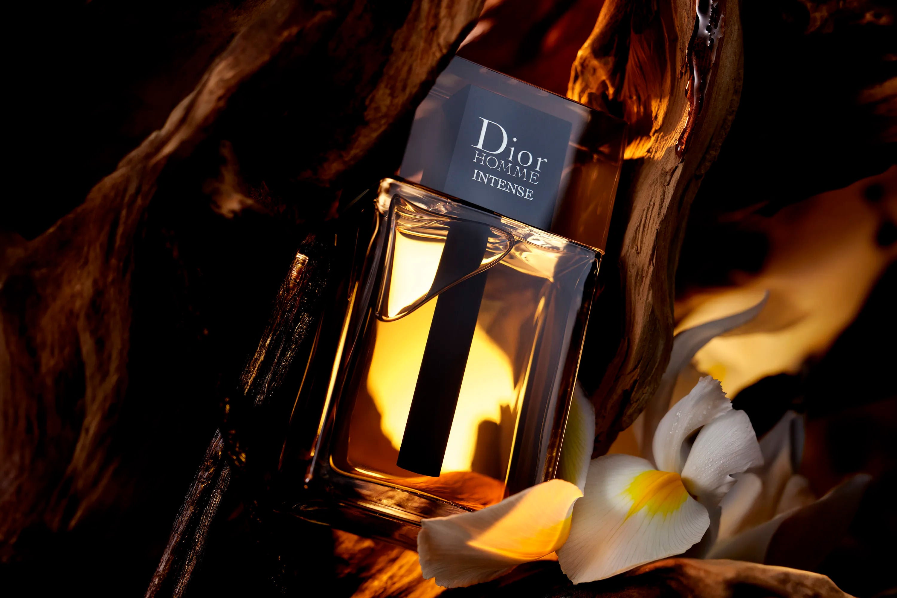Dior Homme Intense 100ml